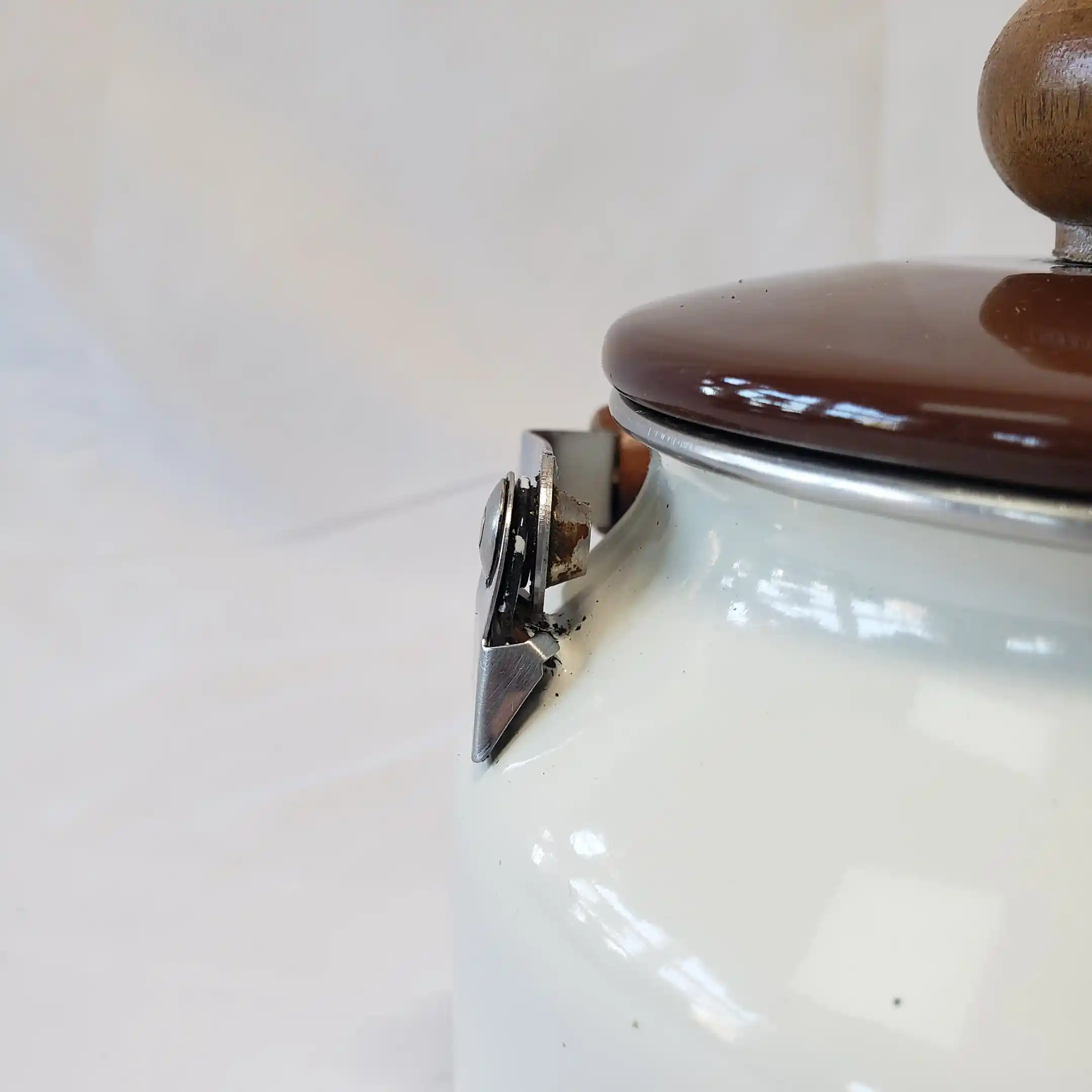 Hall Teapot Enamelware Jewel Tea Pot Autumn Leaf Vintage Enamel Round Metal Kettle - Image 21